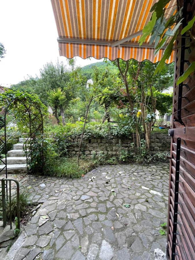 Maan Central Apartment Pet Friendly Location Brasov Exterior photo